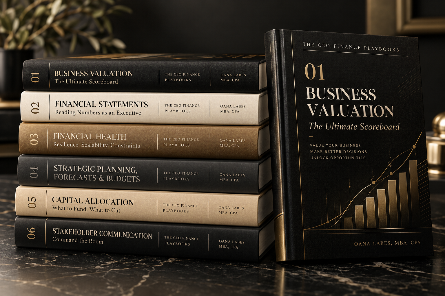The CEO Finance Playbooks, the six-book curriculum library