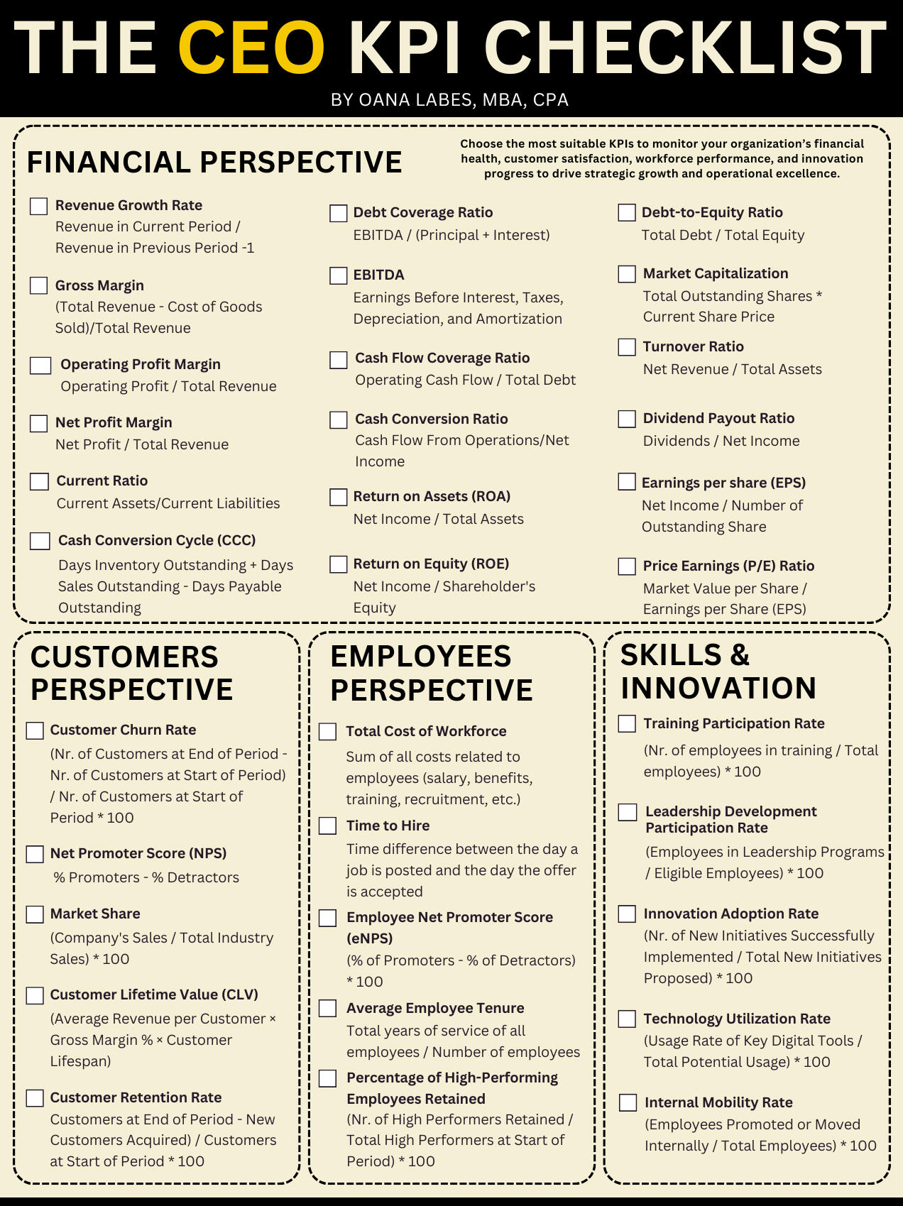 The CEO KPI Checklist, by Oana Labes, MBA, CPA